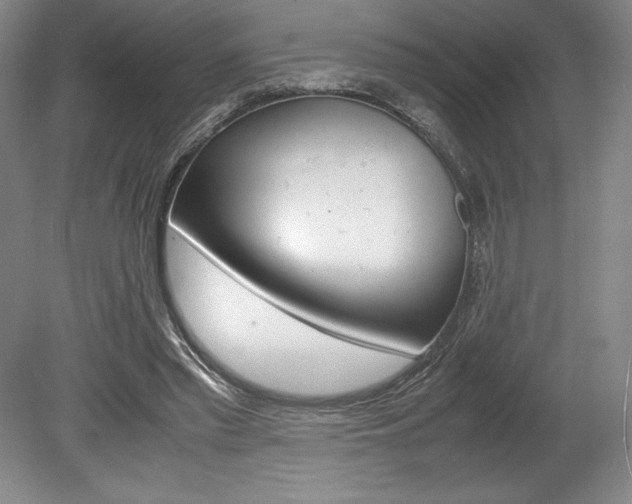 X0000078840397200611131003