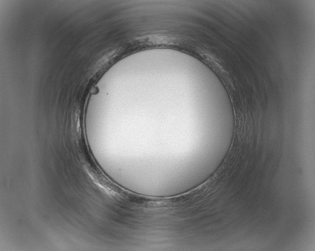X0000078840398200611131003
