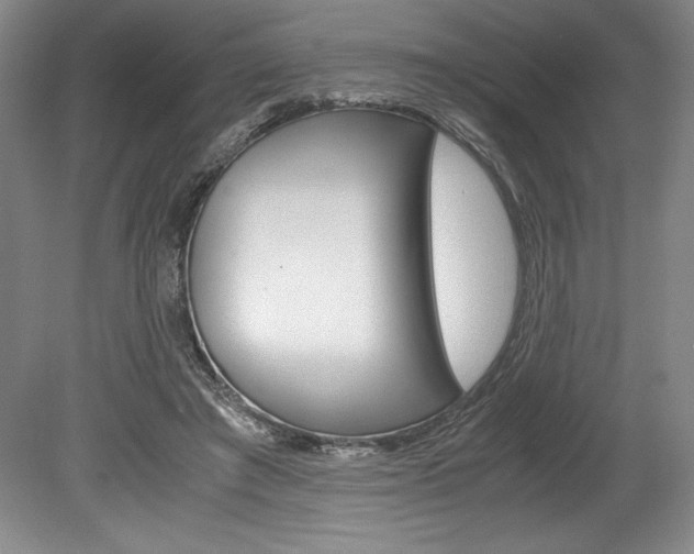 X0000078840401200611131003