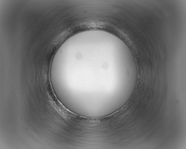 X0000078840402200611131003