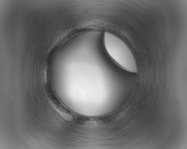 X0000078840404200611131003