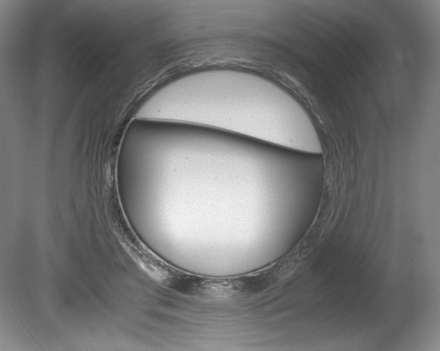 X0000078840405200611131003