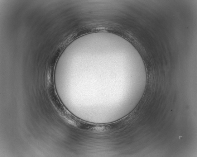 X0000078840406200611131003