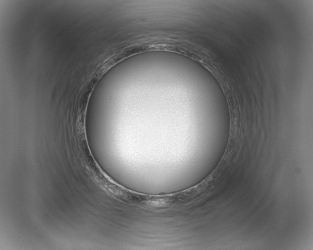 X0000078840411200611131003