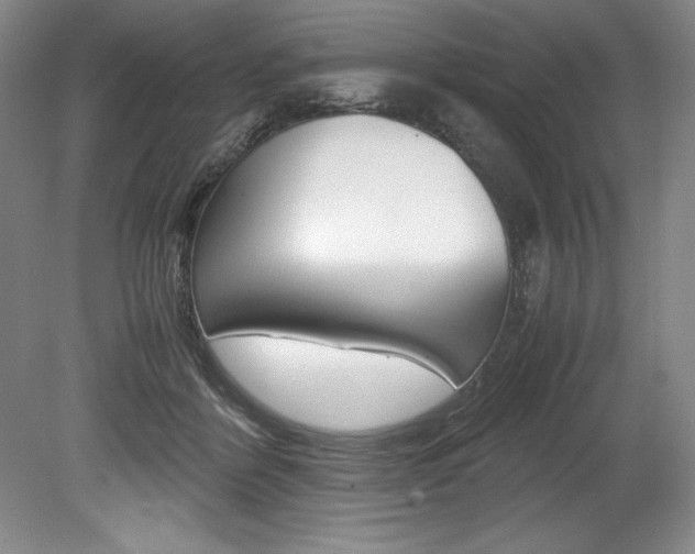 X0000078840412200611131003