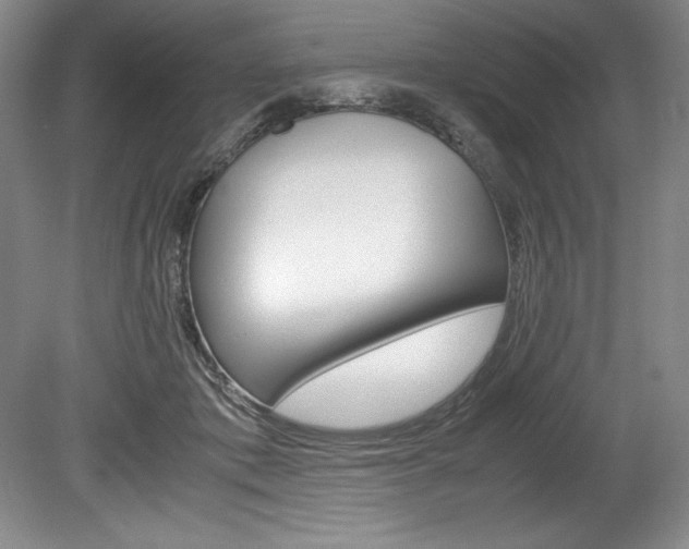 X0000078840413200611131003