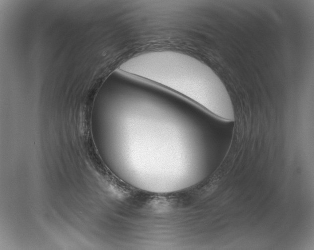 X0000078840416200611131003