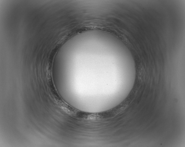 X0000078840420200611131003