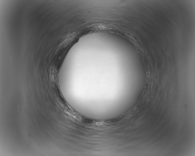 X0000078840423200611131003