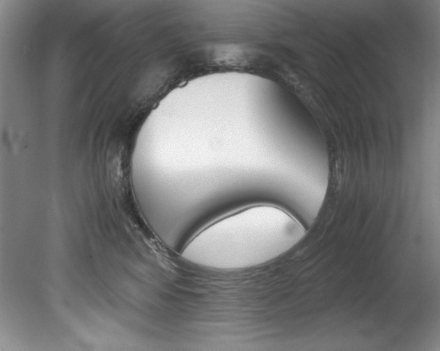 X0000078840424200611131002