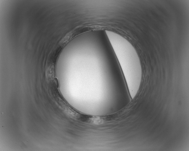 X0000078840425200611131002