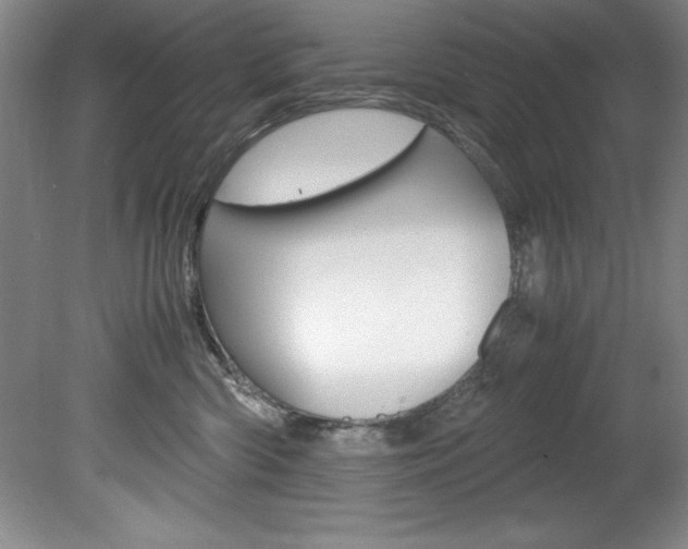 X0000078840426200611131002