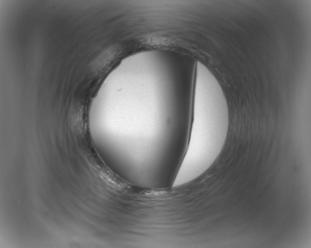 X0000078840428200611131002