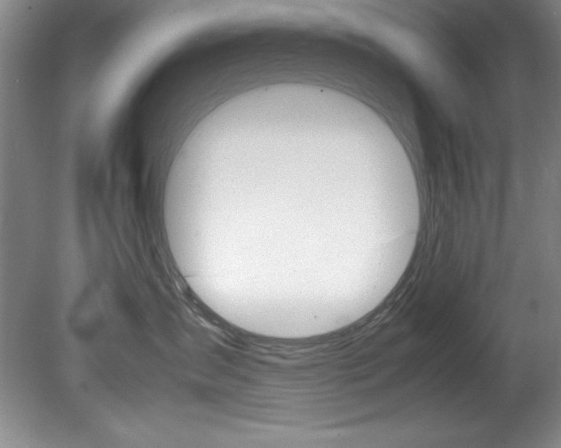 X0000078840431200611131002