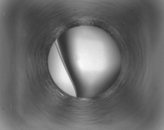 X0000078840432200611131002