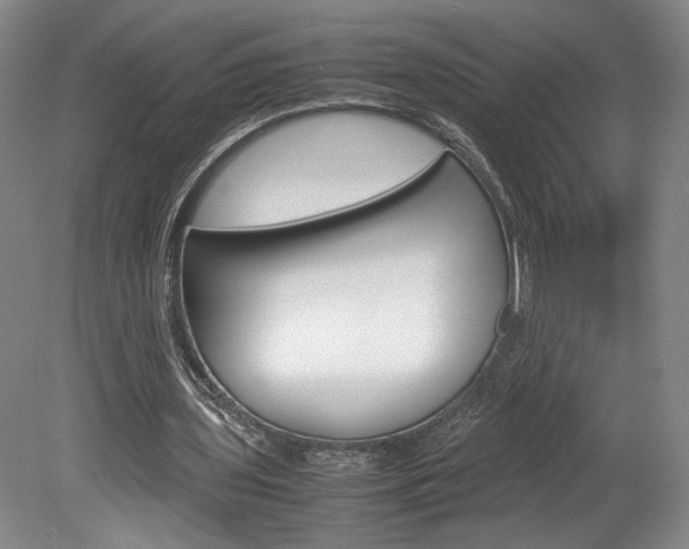 X0000078840435200611131002