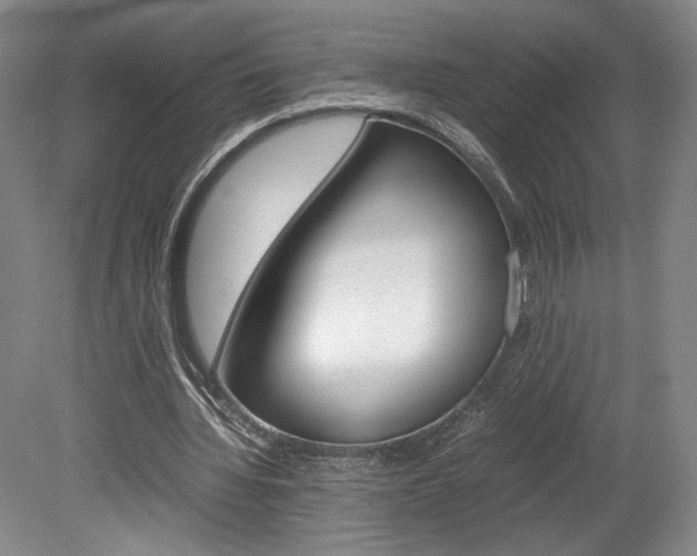 X0000078840436200611131002