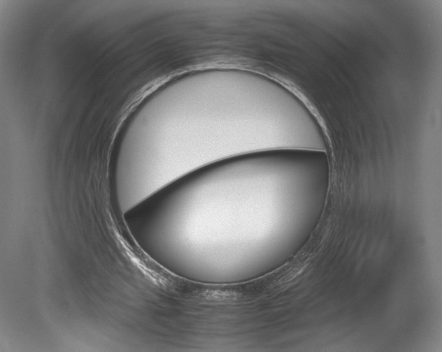 X0000078840437200611131002