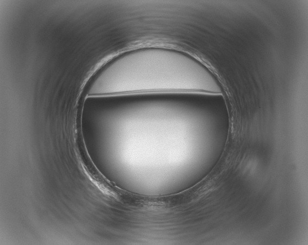 X0000078840438200611131002