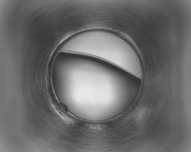 X0000078840439200611131002