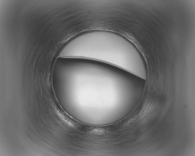 X0000078840441200611131002