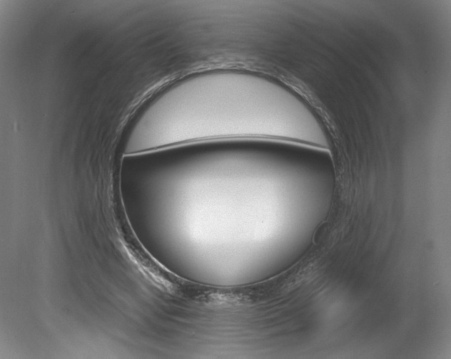 X0000078840442200611131002