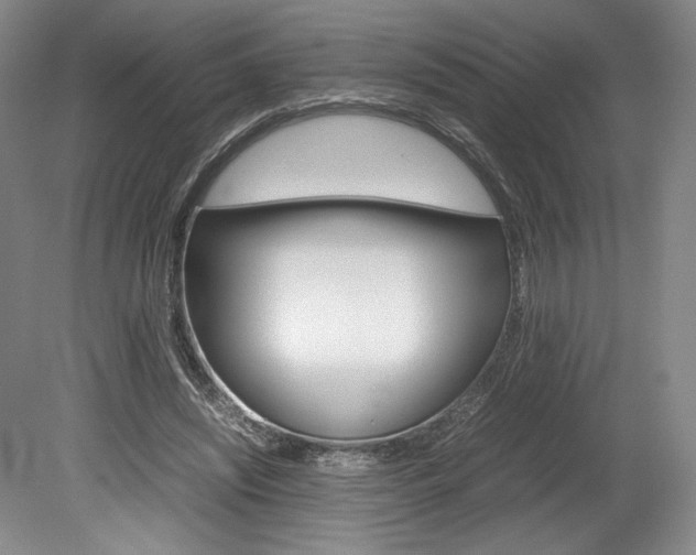 X0000078840444200611131002