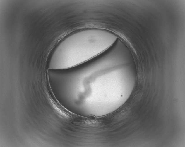 X0000078840445200611131002