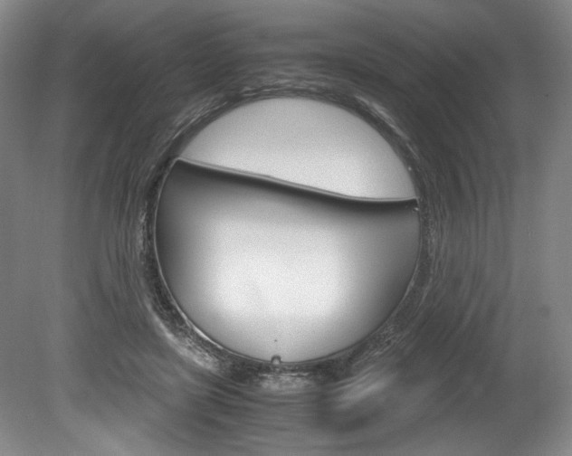 X0000078840451200611131002