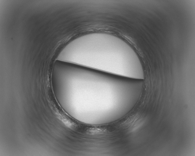 X0000078840453200611131002