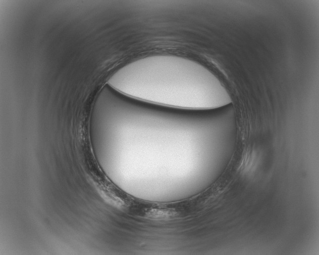 X0000078840455200611131002