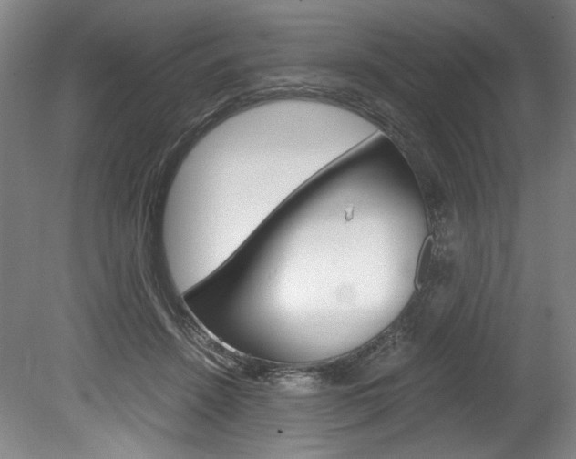 X0000078840456200611131002