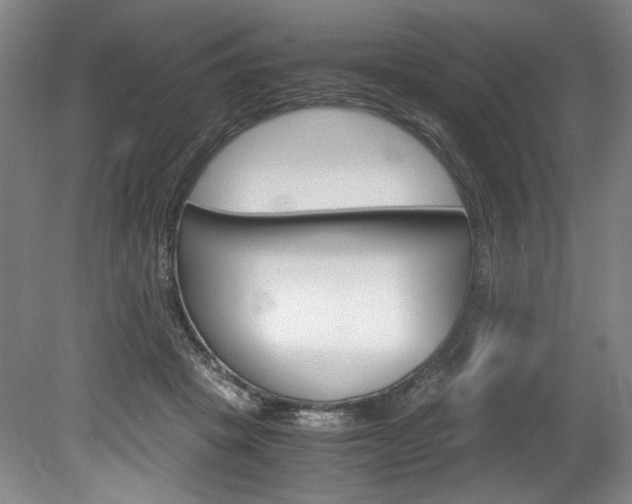 X0000078840457200611131002