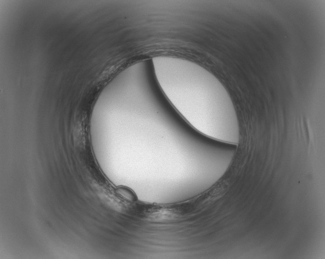 X0000078840460200611131002