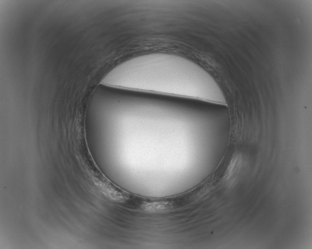 X0000078840461200611131002