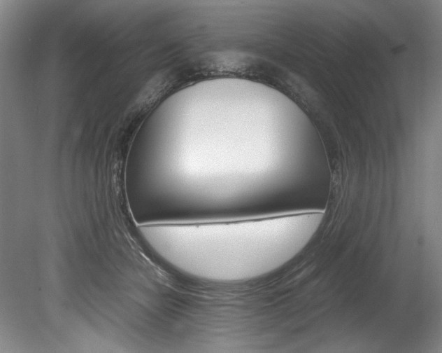 X0000078840462200611131002