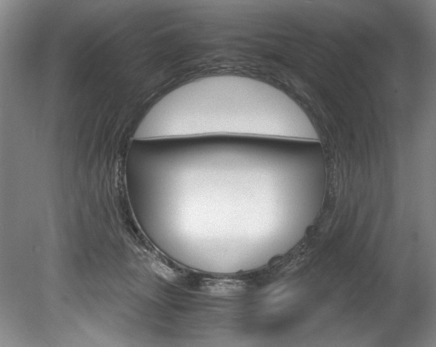 X0000078840463200611131002