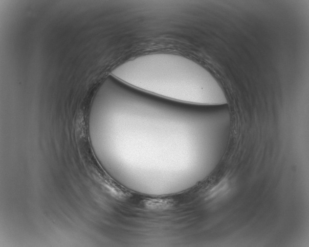 X0000078840465200611131002
