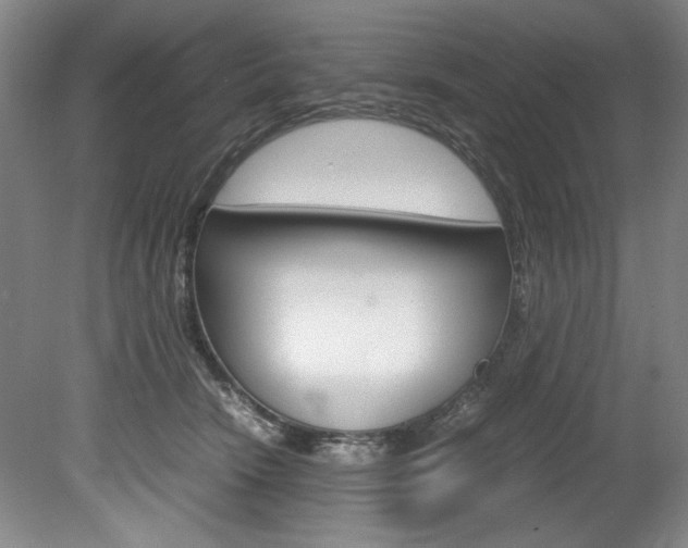 X0000078840466200611131002