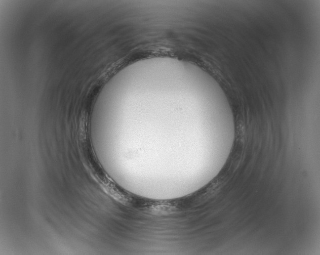 X0000078840468200611131002