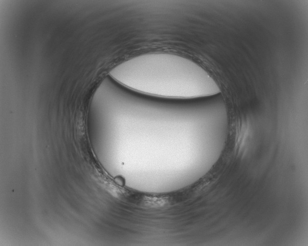 X0000078840469200611131002