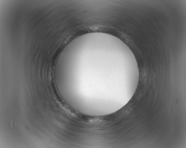 X0000078840470200611131002