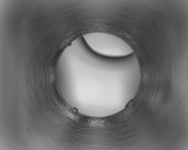 X0000078840471200611131002