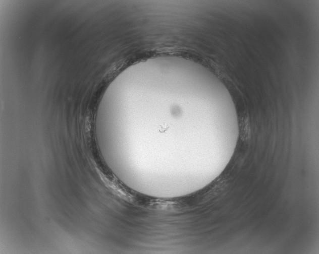 X0000078840472200611131002