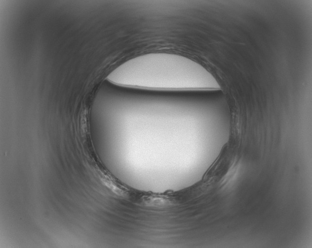 X0000078840475200611131002