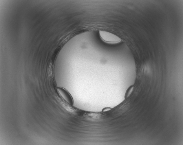 X0000078840478200611131002
