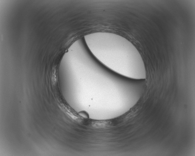 X0000078840479200611131002