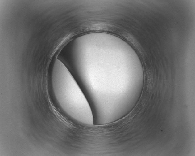 X0000078840482200611131002