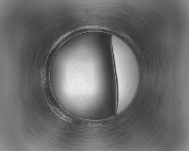 X0000078840484200611131001