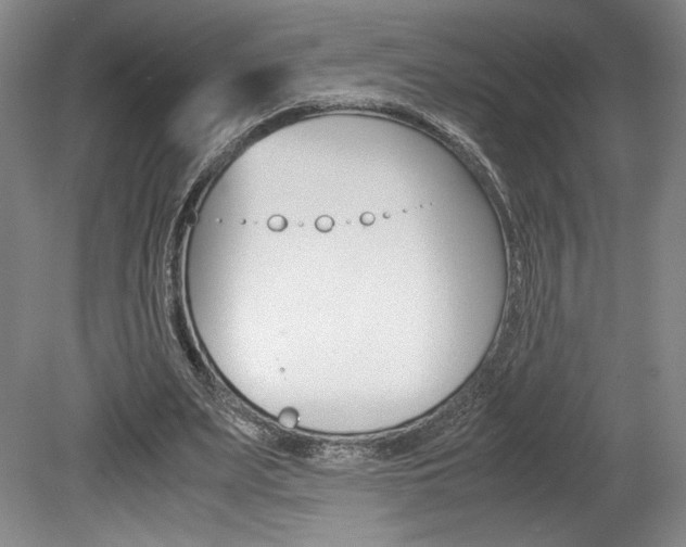 X0000078840487200611131001